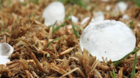 L’arboriculture, la viticulture et le maraîchage sont particulièrement touchés par la grêle du samedi 15 juin 2019. ©Chambre d’agriculture d’Isère